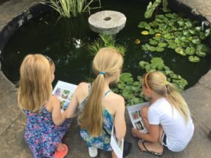 kidsnearthepond