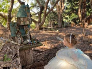 9 29 21 fairies 7