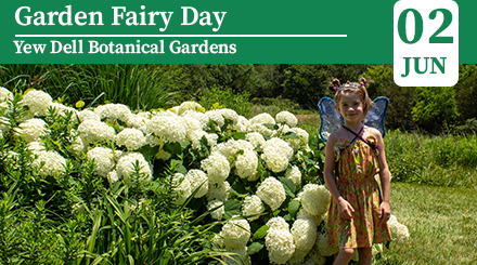 Garden Fairy Day 6.2.2024