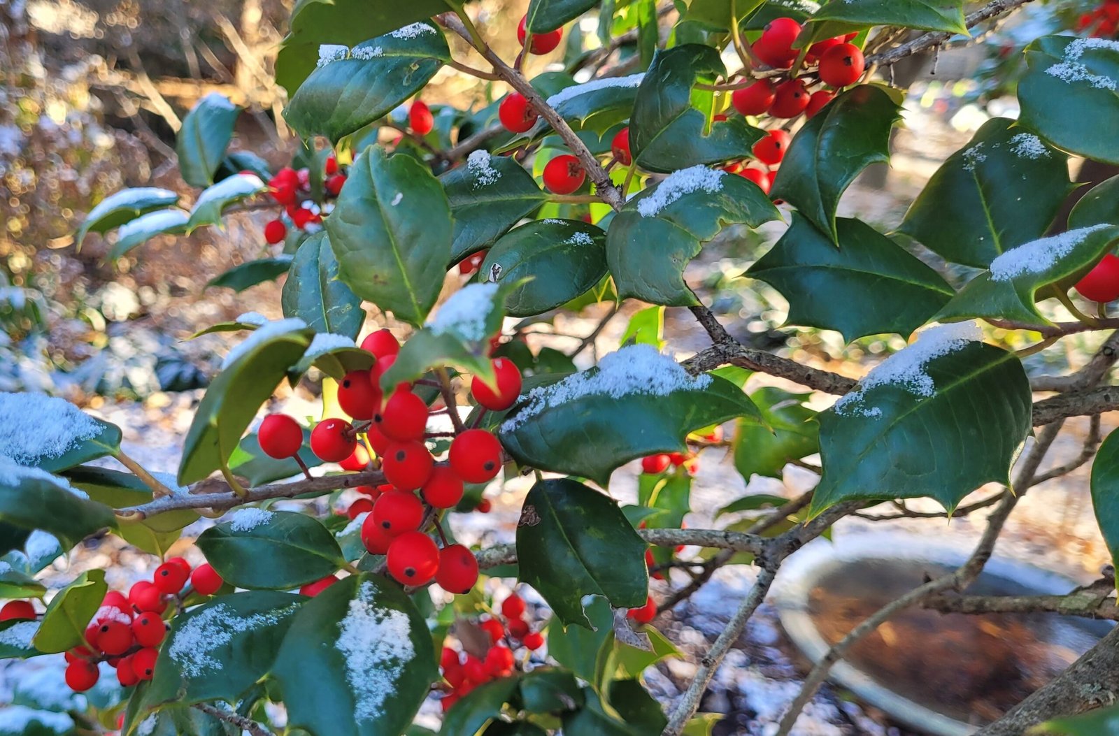 12-18-15 Christmas Centerpieces