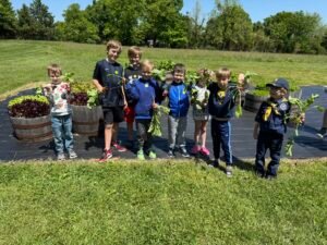 Edible Garden
