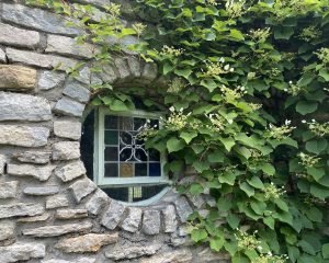 Castle-window