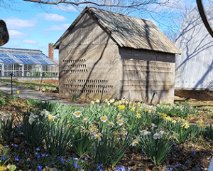 Corn Crib