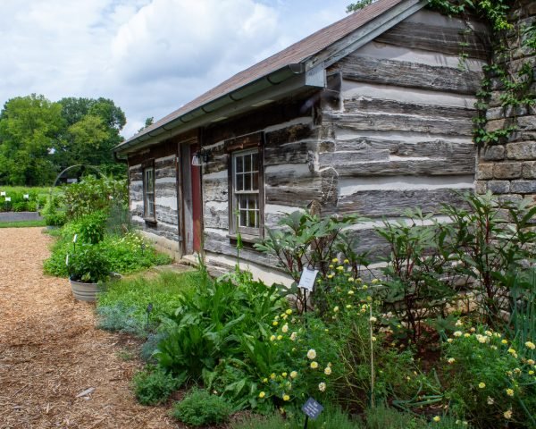 Log Cabin