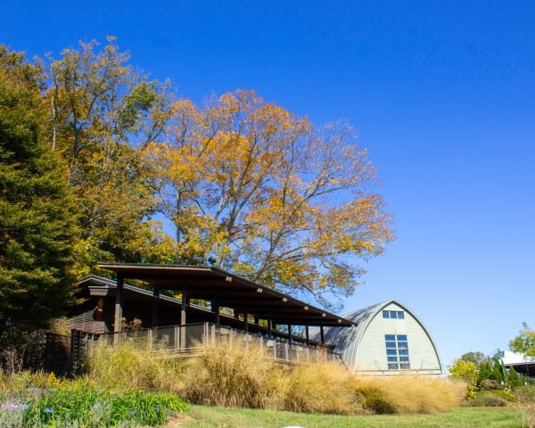 Upper Pavilion