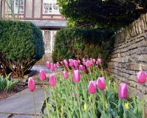Walled Garden